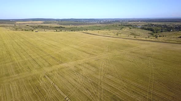 Aerial view of yellow agriculture wheat field afted harvesting in late summer.