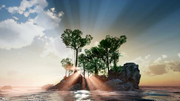 Rocky Island with Trees As Ocean