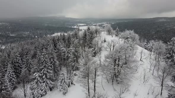 Aerial view of winter mountain peak. Aerial view of winter forest. 