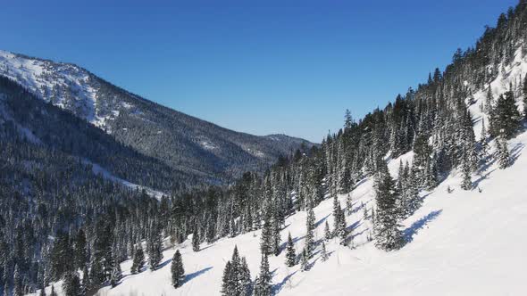 Winter Landscape with Mountain Valley Covered with Evergreen Forest Under Snow