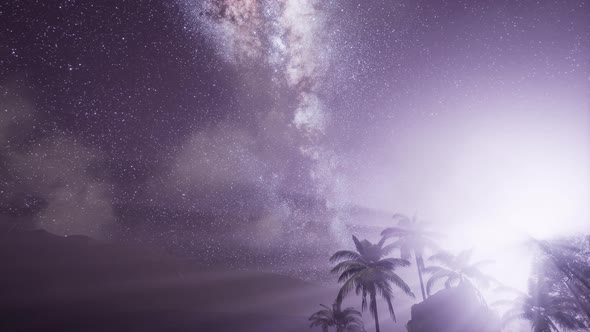 Milky Way Galaxy Over Tropical Rainforest.