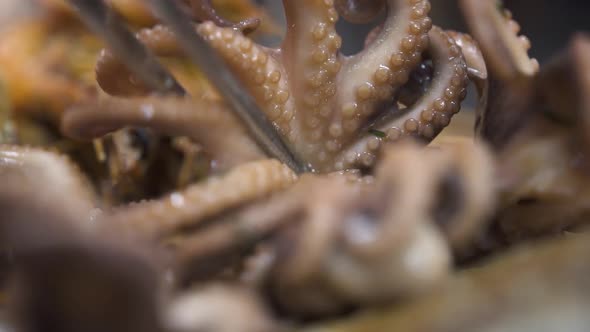 Putting Delicious Fried Octopus on Pile Serving Tasty Dish