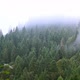 Beautiful Mist Over the Trees in the Mountains - VideoHive Item for Sale