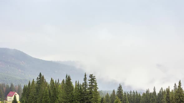 Morning Mist Over the Valley Among the Mountains in the Sunlight. Fog and Beautiful Nature of