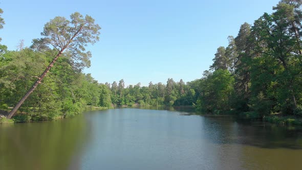 Lake In Forest Over Water