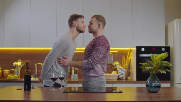 Affectionate Same Sex Lovers Kissing Kitchen