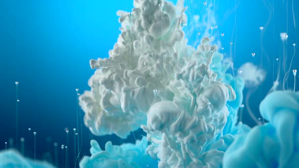 Blue and white ink dropped in water, Slow Motion alt