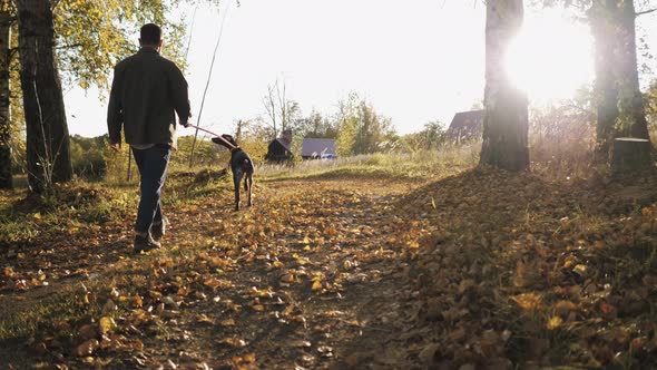 Man Walking with a Dog Breed Kurzhaar in the Autumn Forest