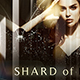 Shard Of Illusion - VideoHive Item for Sale