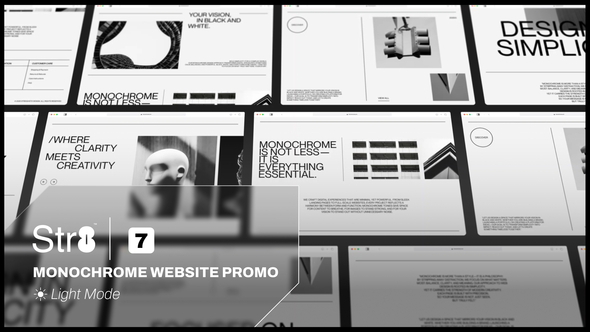 Monochrome Website Promo (Light Mode)
