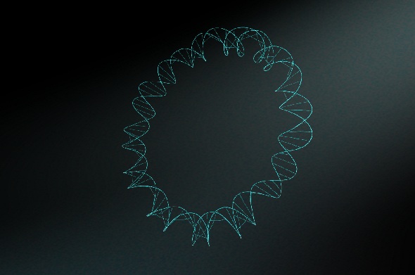 Scientifically Accurate DNA Plasmid 3D Model – Minimalist Design