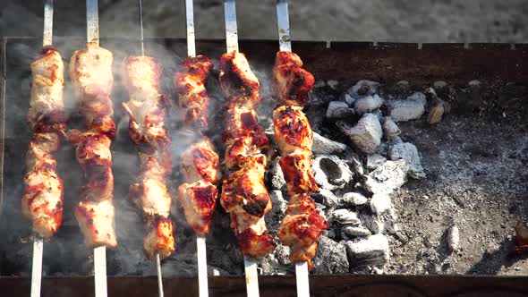 Barbecue Grilled Pork Kebabs Meat Lamb Kebab Marinated Barbecue Meat Shashlik Shish Kebab Outdoors