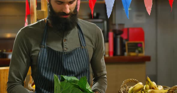 Male staff holding a cabbage