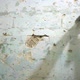 Old Blue Plastered Wall in the Bathroom - VideoHive Item for Sale