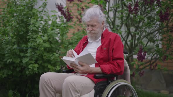 Absorbed Disabled Old Man Reading Interesting Book in Backyard Garden Outdoors