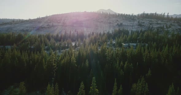 Drone Flying Above Amazing Pine Forest Towards Beautiful Mountain Ridge Skyline