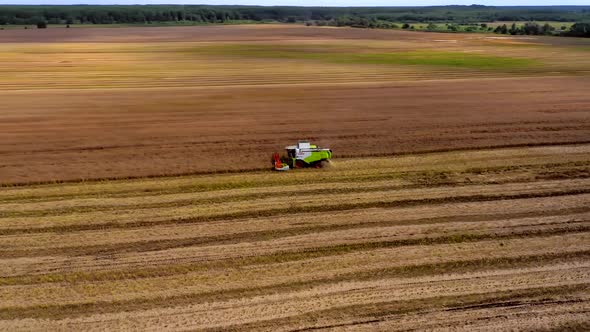 Harvesting of wheat in summer. Two harvesters working in the field