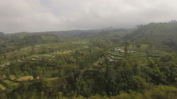 Tropical Landscape with Farmlands in Mountains