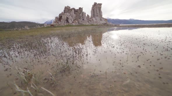 Slow Motion Ultra Wide of Flies at Mono Lake State Park