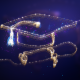 Graduation wishes Intro // Graduation Wishes - VideoHive Item for Sale