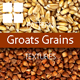 Groats Grains Surface Textures - 3DOcean Item for Sale