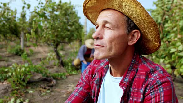 Handsome Old Man Farmer in the Middle of Vineyard