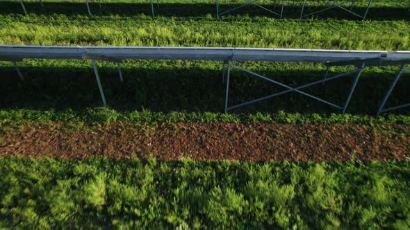 Aerial View Solar Power Station on Green Field at Sunset Solar Panels in Row