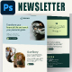Financial Management Email Newsletter PSD Template - GraphicRiver Item for Sale