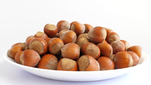 Hazelnut Abstract Background