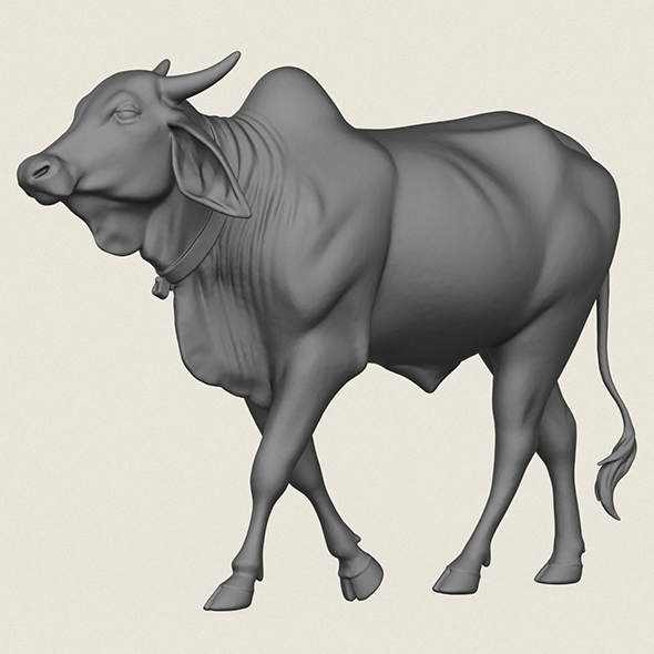 Indian Ox Print Ready 3D Model