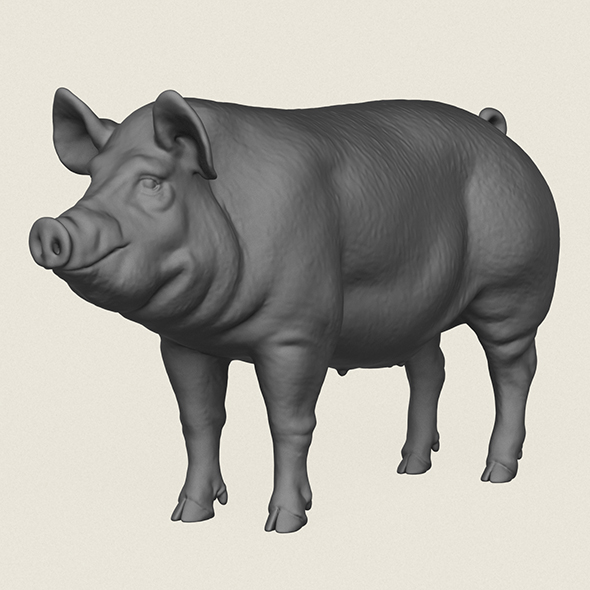 Pig Print Ready 3D Model