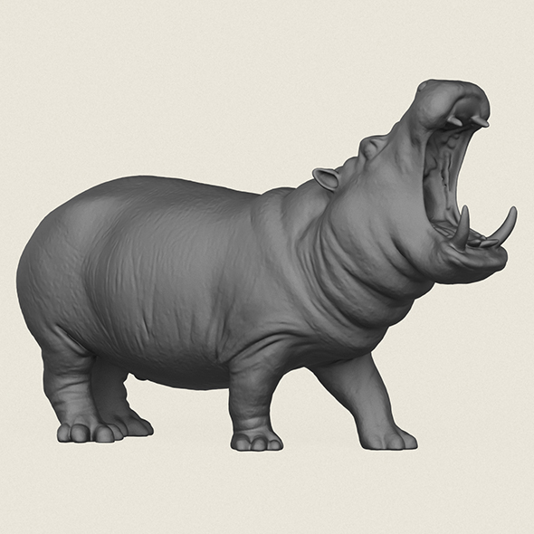 Hippopotamus Print Ready 3D Model