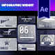 Infographic Widgets - VideoHive Item for Sale