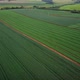 Experimental Soyfield Drone - VideoHive Item for Sale