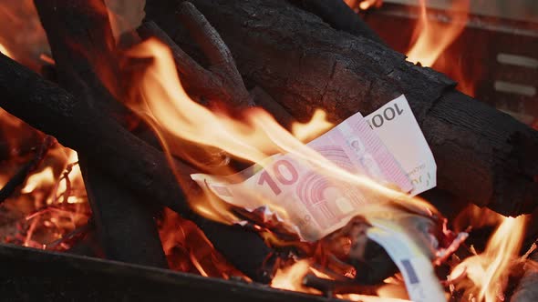 Burning Money In Wood Fire 1