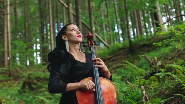 Beautiful cellist in the forest. Luxury woman in black dress playing the cello