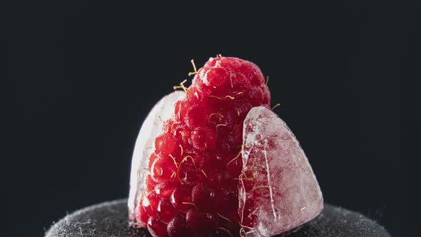 Timelapse Raspberry Freezes in a Piece of Ice