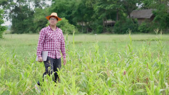 Asian farmer wearing glasses and holding a laptop, walking in a big farm