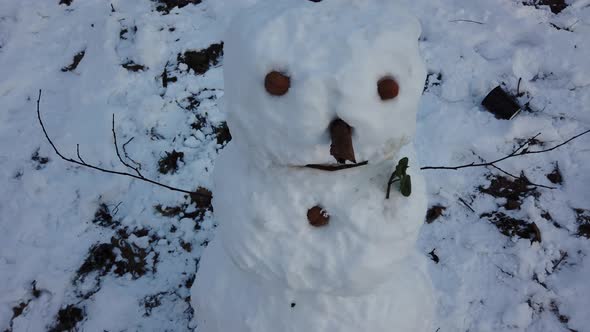 Snowman in the winter park.