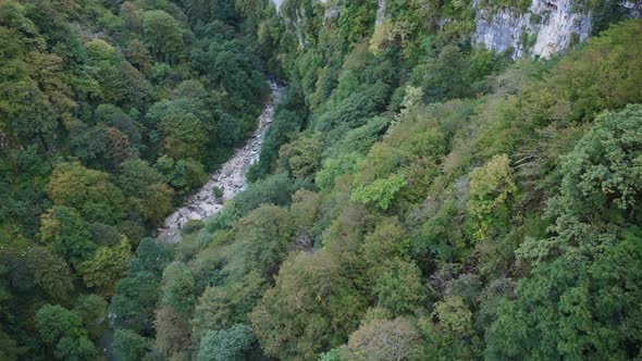 River at the bottom of the green canyon