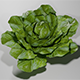 Lettuce 3d Model
