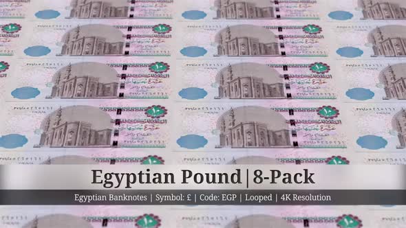 Egyptian Pound | Egypt Currency - 8 Pack | 4K Resolution | Looped