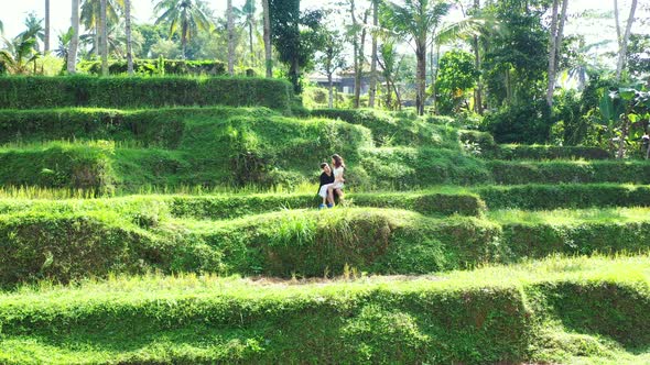 Lover sitting on green terraces of agricultural farm with rice plantations surrounded by palm trees