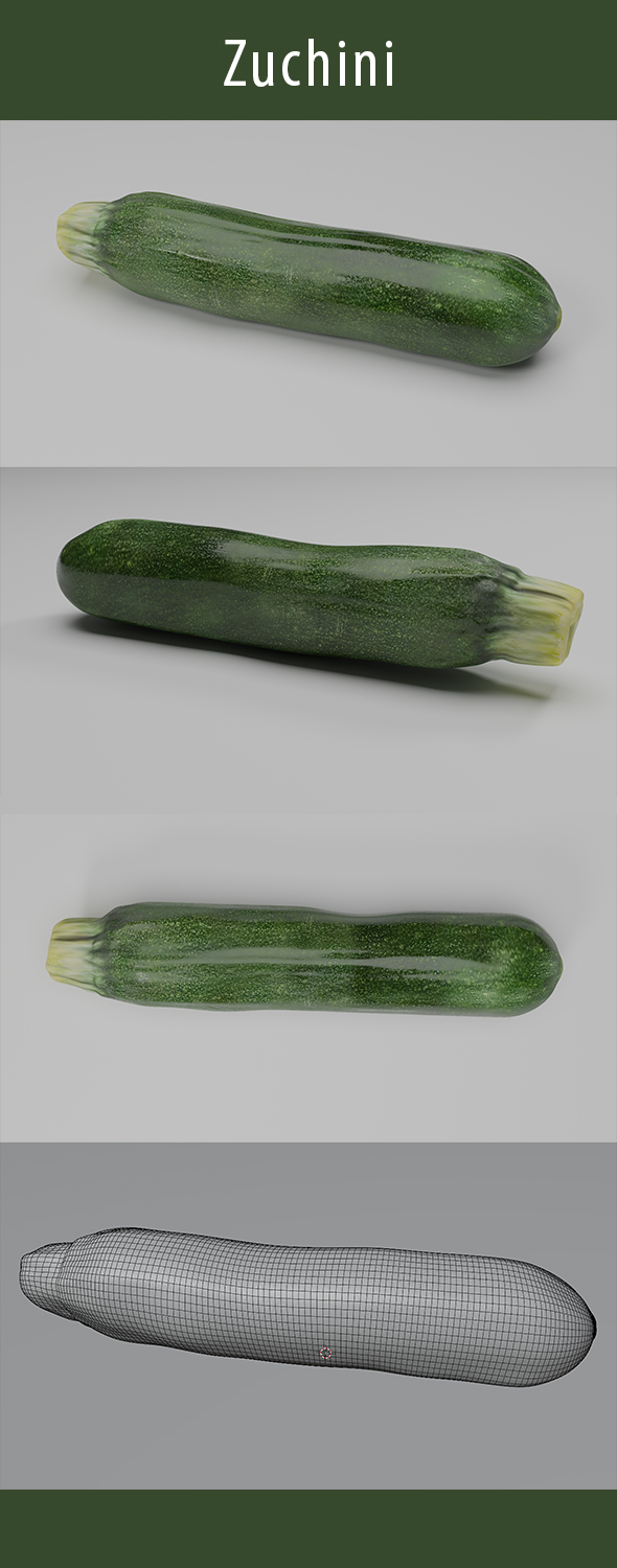 Zuchini 3d Model