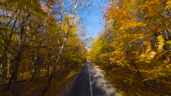 Smooth Fast Flight Close to Branches of Trees Along the Road