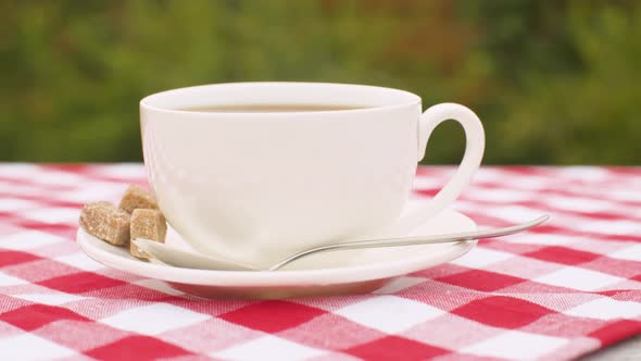 A Cup of Hot Tea Outdoors