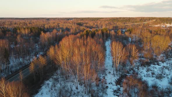 Beautiful Snowy Winter Landscape with Trees at Sunset Aerial View