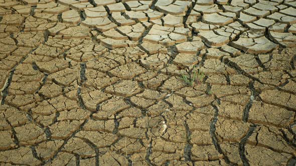Dry Cracked Pond Wetland, Swamp Very Drying Up the Soil Crust Earth Climate Change, Environmental