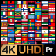 4K Flag Animation for Premiere Pro - VideoHive Item for Sale