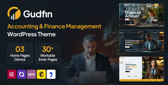 Gudfin - Accounting and Finance Management WordPress Theme